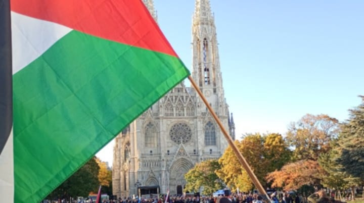Pro Palästina vor der Votivkirche Foto: Dietmar Pichler, INVED, Institut zur Verteidigung der Europäischen Demokratien